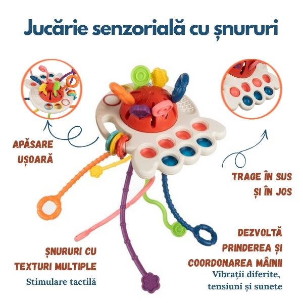 Jucărie Senzorială Montessori - Alină Dentiția și Dezvoltă Motricitatea (Silicon BPA Free)