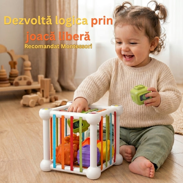 Cub Senzorial Montessori 2-în-1 - Sorter Flexibil cu Mingi incluse