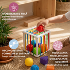 Cub Senzorial Montessori 2-în-1 - Sorter Flexibil cu Mingi incluse
